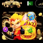 PrpWin Game APK Download, Features, and User Experience on Android