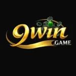 9Win Game features gameplay download tips complete guide