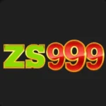 ZS999 Game Android gameplay and features