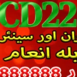 CD22 Game APK latest version gameplay